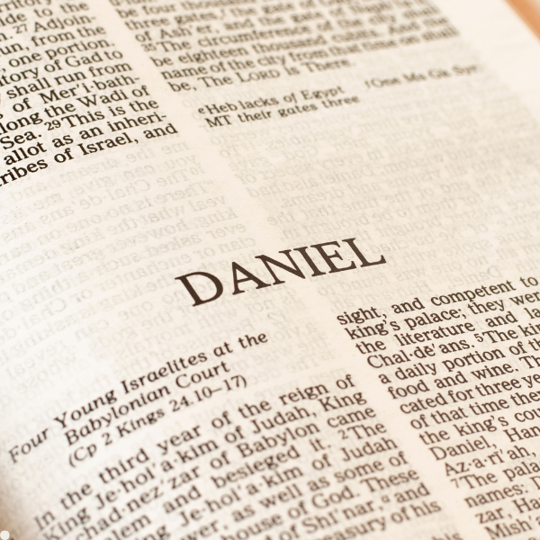New Life Baptistengemeente Cursus Daniel overzicht